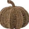 Intratuin pompoen naturel D 28 H 27