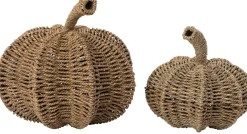 Intratuin pompoen naturel D 28 H 27