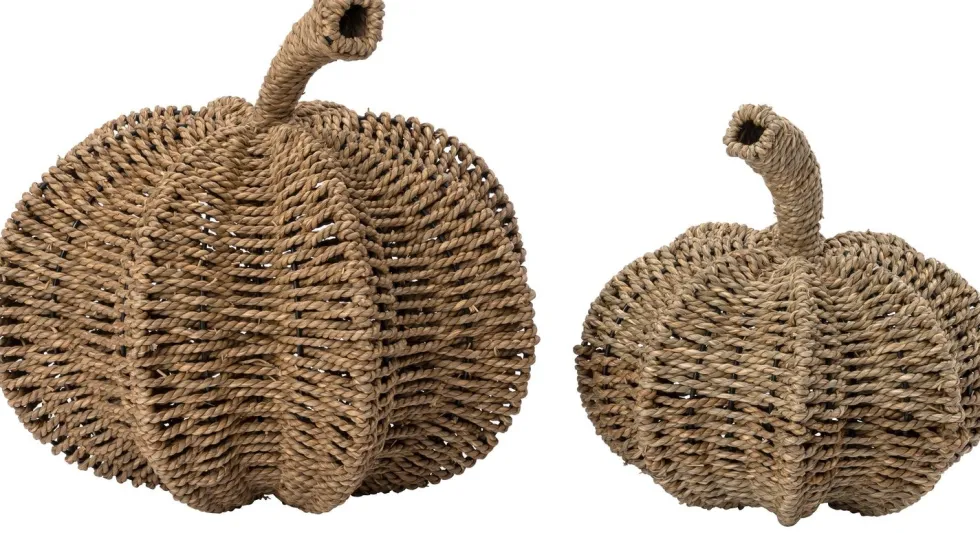 Intratuin pompoen naturel D 36 H 34
