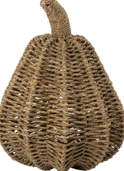 Intratuin pompoen naturel D 27 H 36