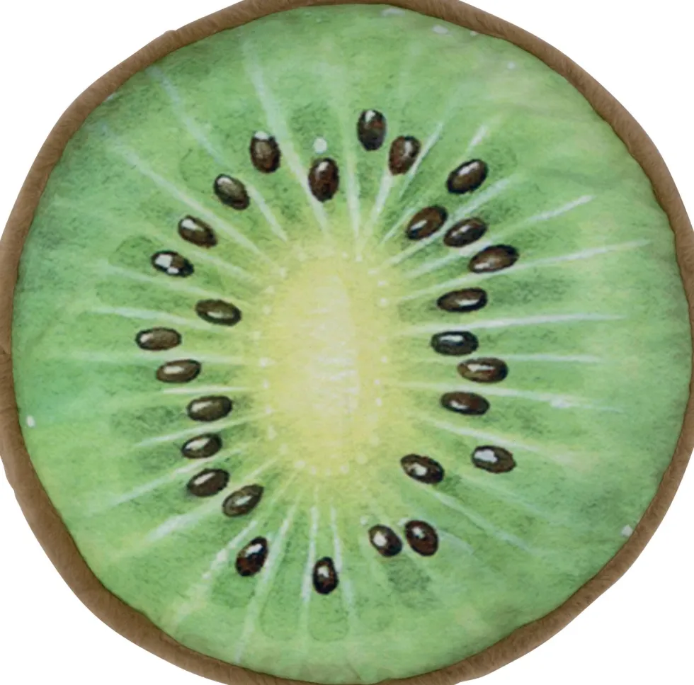 Intratuin sierkussen Fruit Slice groen / bruin D 36 cm