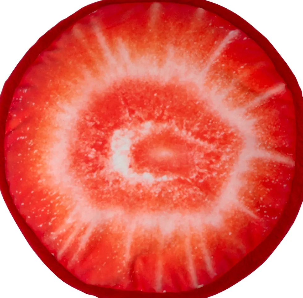 Intratuin sierkussen Fruit Slice rood D 36 cm