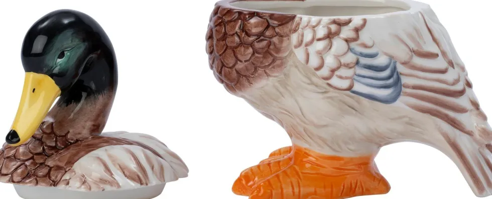 Intratuin voorraadpot Duck 18 x 13 x 22 cm