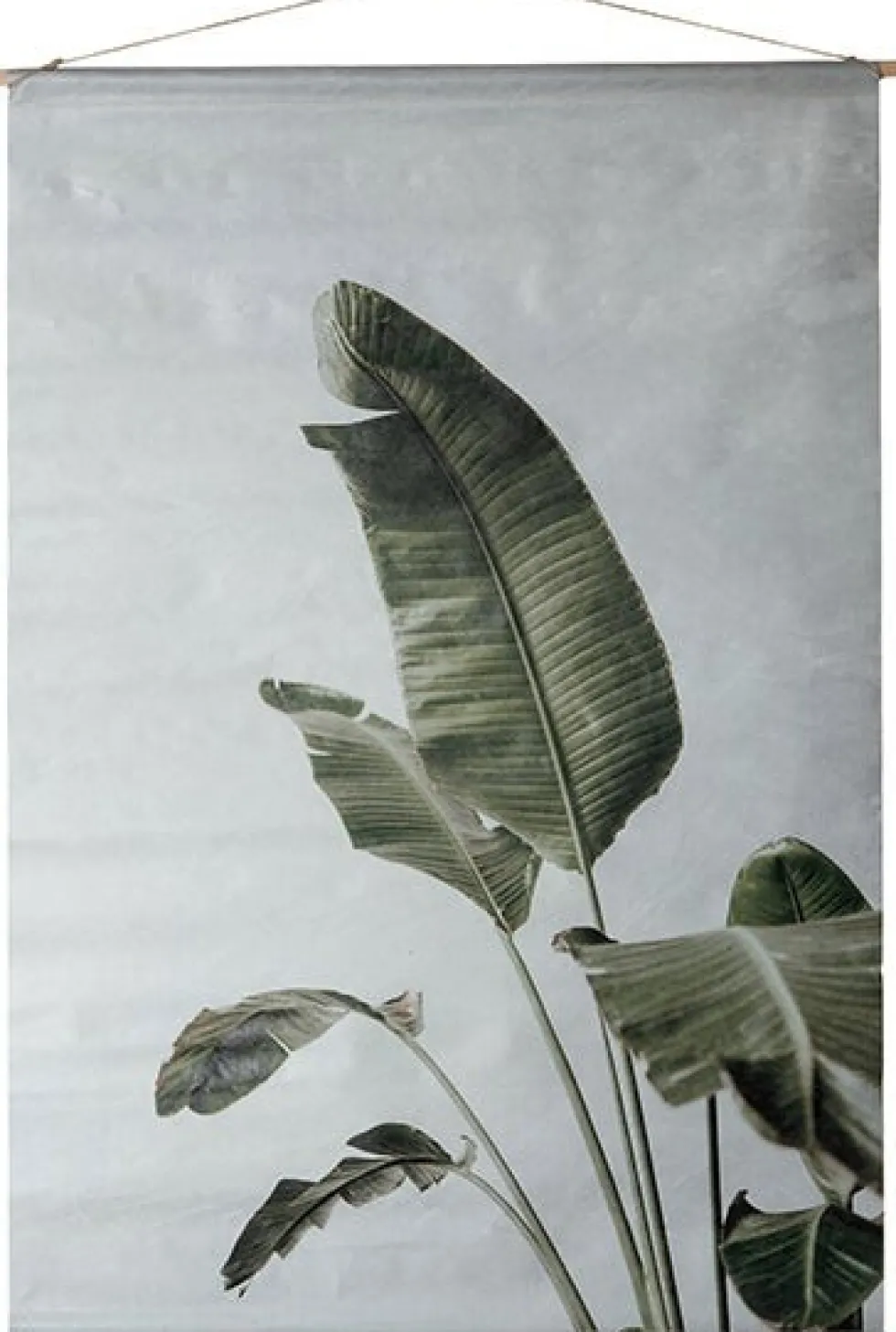 Intratuin wanddoek Heleconia grijs / groen 90 x 60 cm