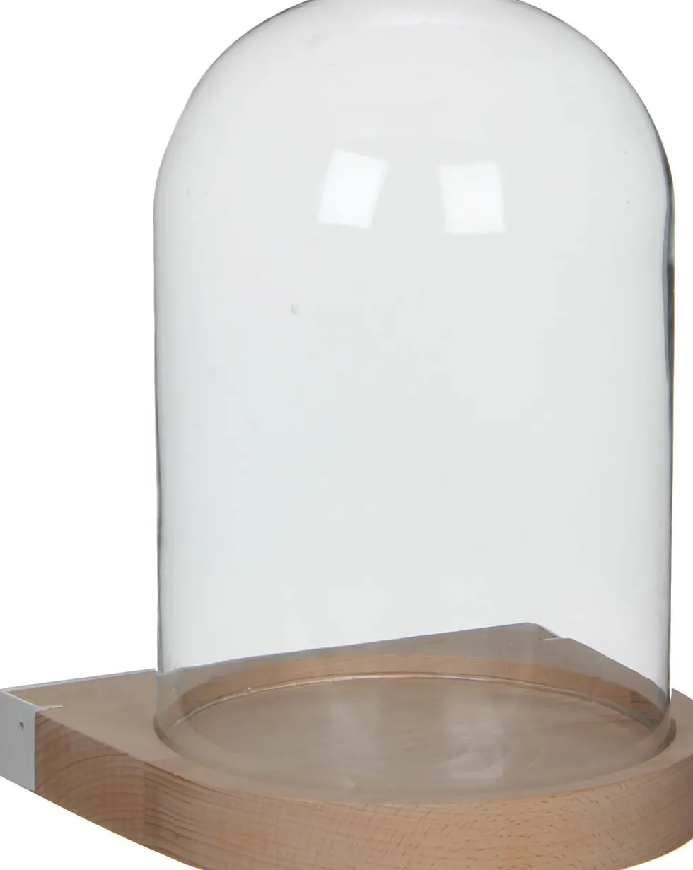 Intratuin wandstolp transparant D 21 H 29 cm
