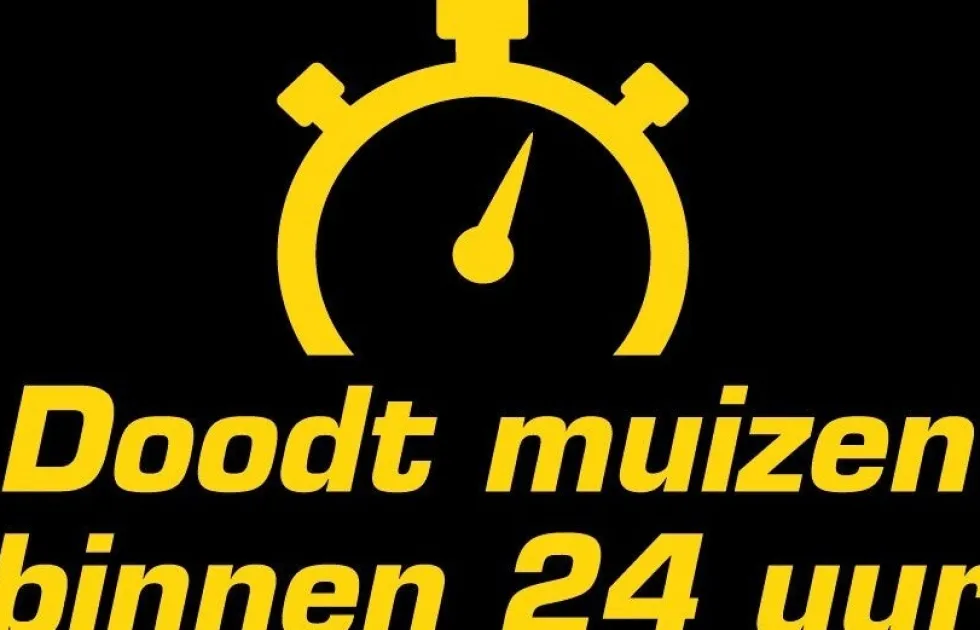 KB Muizen Pasta Magik Paste 4 stuks