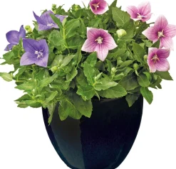 Mega Collections bloempot zwart D 22 H 21 cm