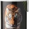 Mepal drinkfles pop-up Campus Wild Tiger 400 ml