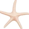 Mica Decorations beeld Marina zeester roze 23 x 20,5 x 2,5 cm