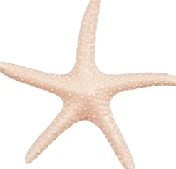 Mica Decorations beeld Marina zeester roze 23 x 20,5 x 2,5 cm