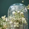 Mica Decorations decoratieschaal voor stolp Hella zwart D 17,5 H 2 cm