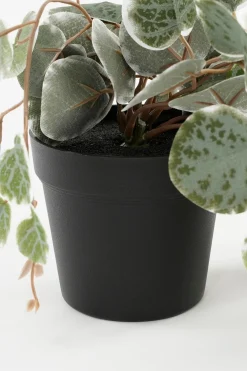 Mica Decorations kunsthangplant Chinees Lantaarnplantje witbont H 71 cm