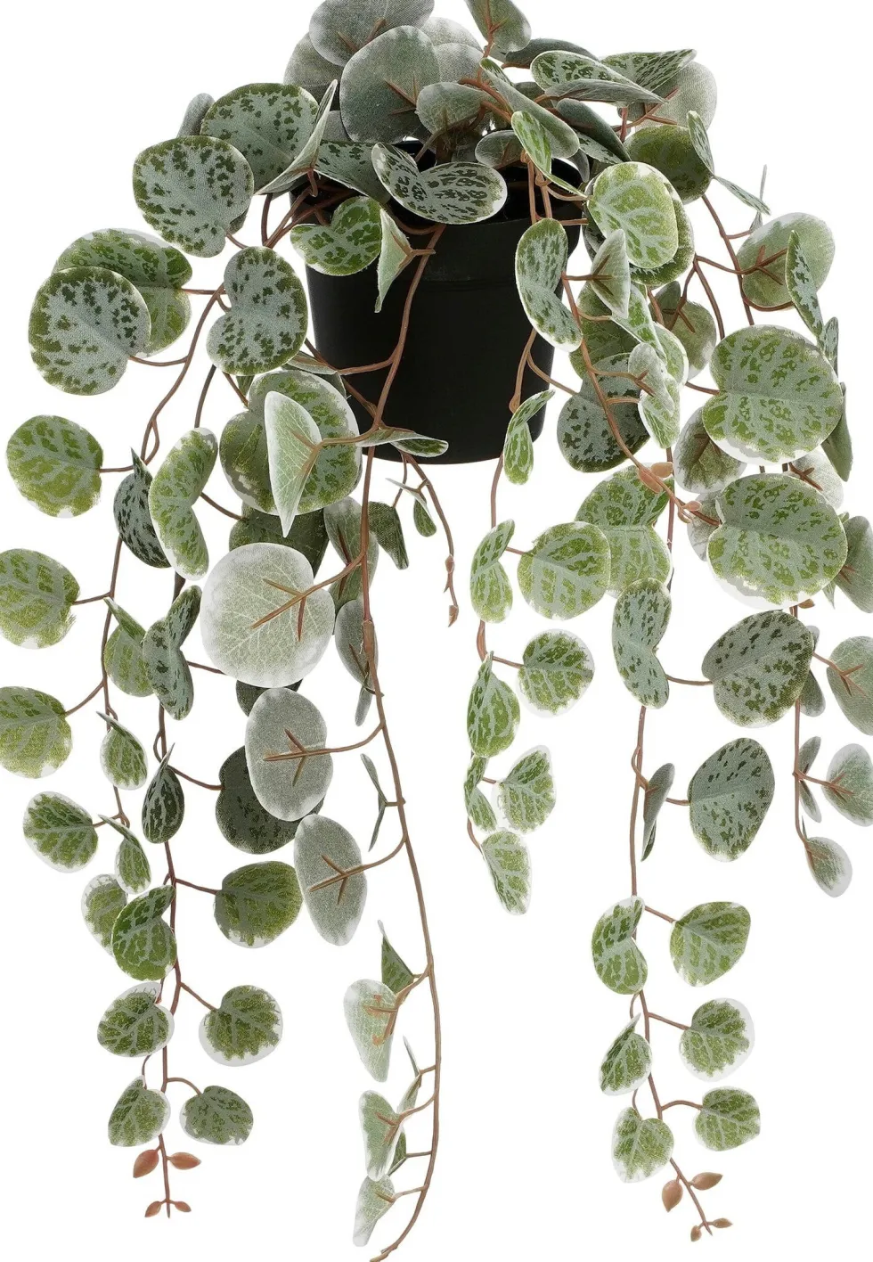 Mica Decorations kunsthangplant Chinees Lantaarnplantje witbont H 71 cm
