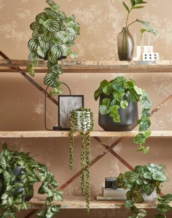 Mica Decorations kunsthangplant Erwtenplant H 71 cm