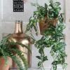 Mica Decorations kunsthangplant Fittonia H 54 cm