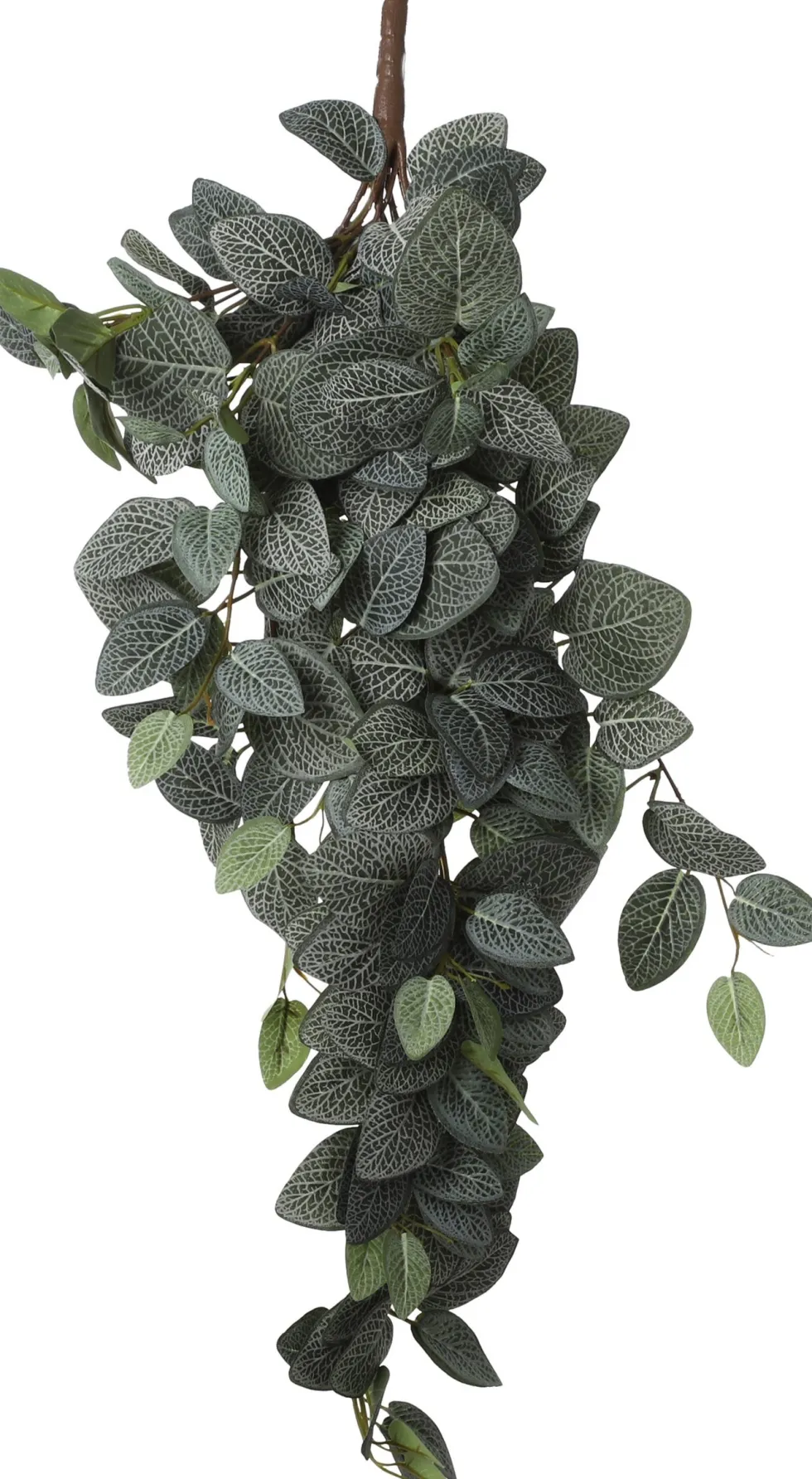 Mica Decorations kunsthangplant Fittonia H 54 cm