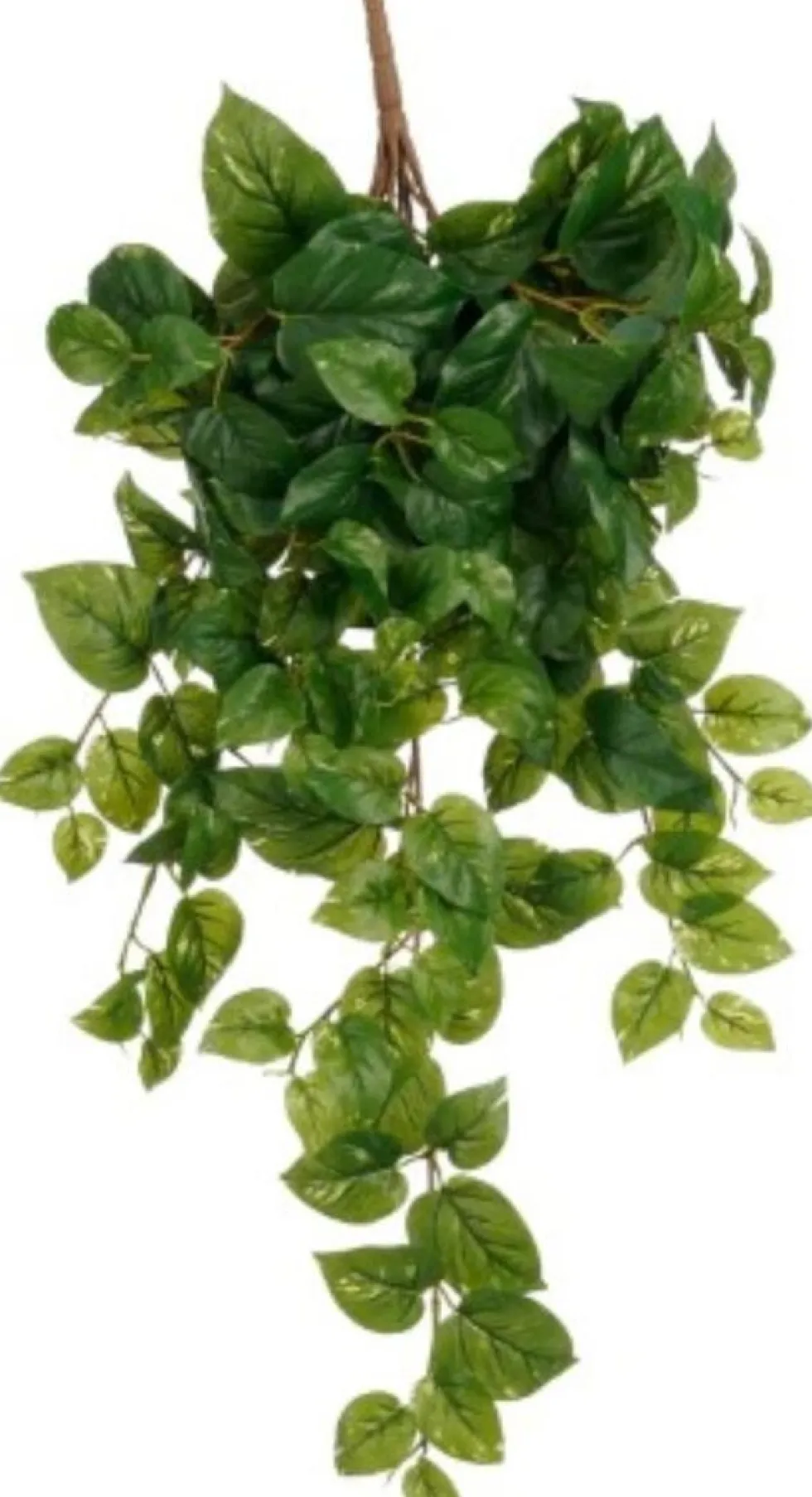 Mica Decorations kunsthangplant Drakenklimop H 80 cm