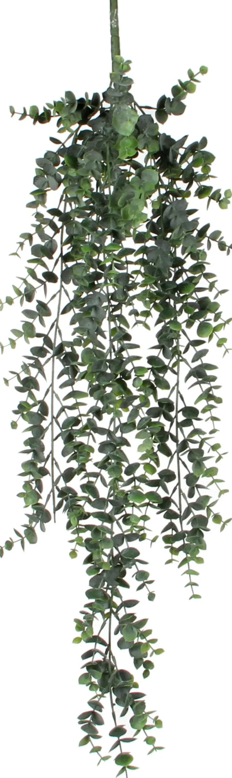 Mica Decorations kunsthangplant Eucalyptus H 78 cm