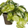 Mica Decorations kunsthangplant Pothos H 80 cm