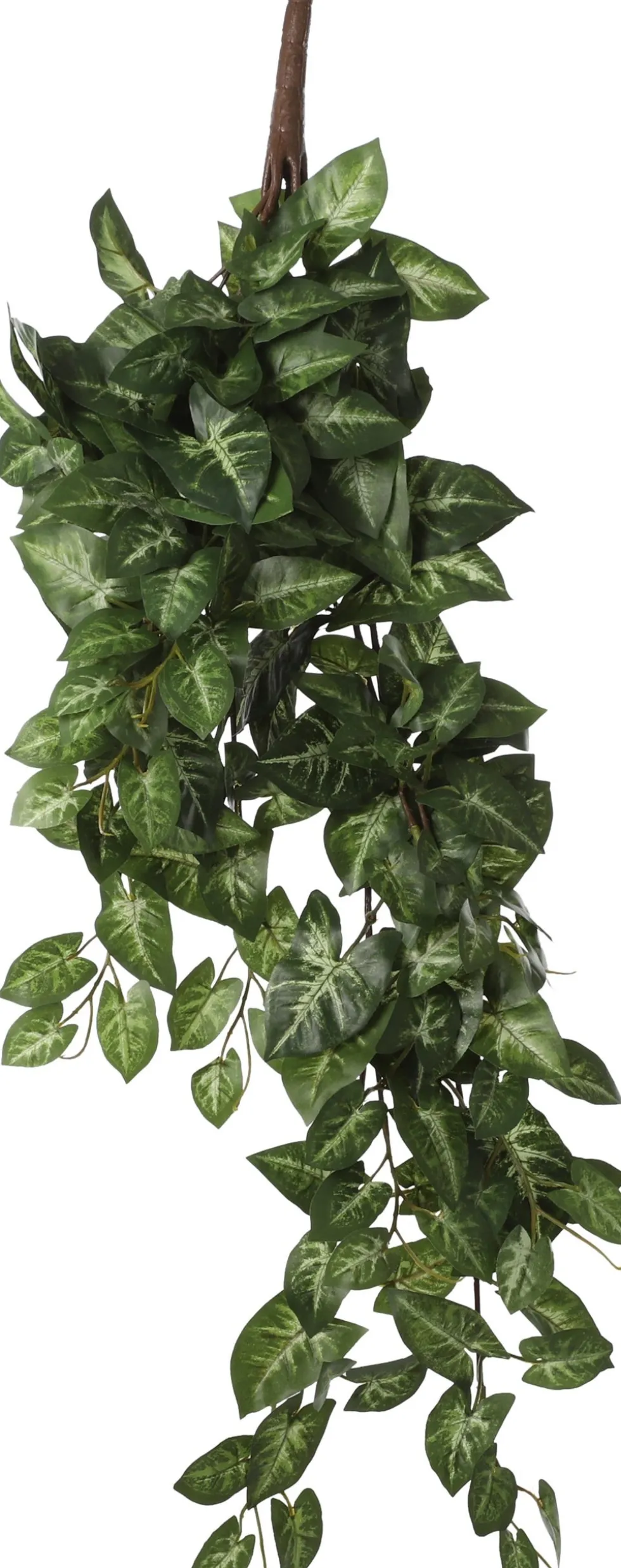 Mica Decorations kunsthangplant Syngonium H 54 cm