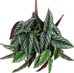 Mica Decorations kunsthangplant Cissus discolor H 80 cm