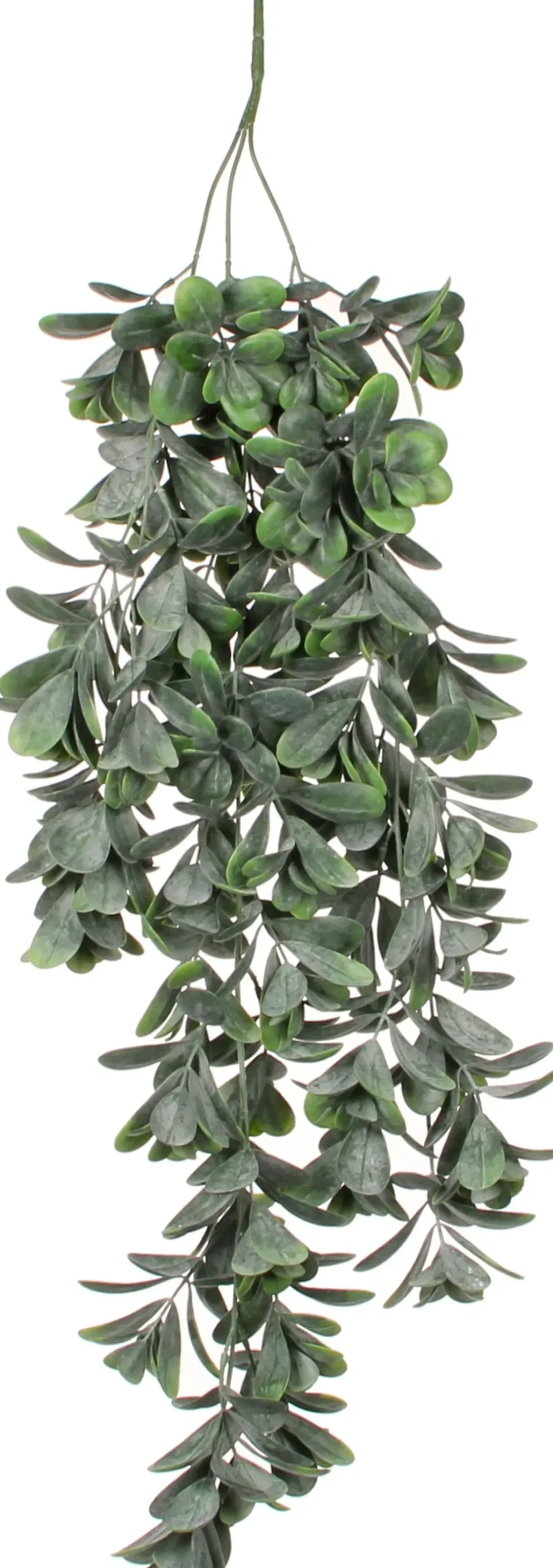 Mica Decorations kunsthangplant Crassula H 79 cm