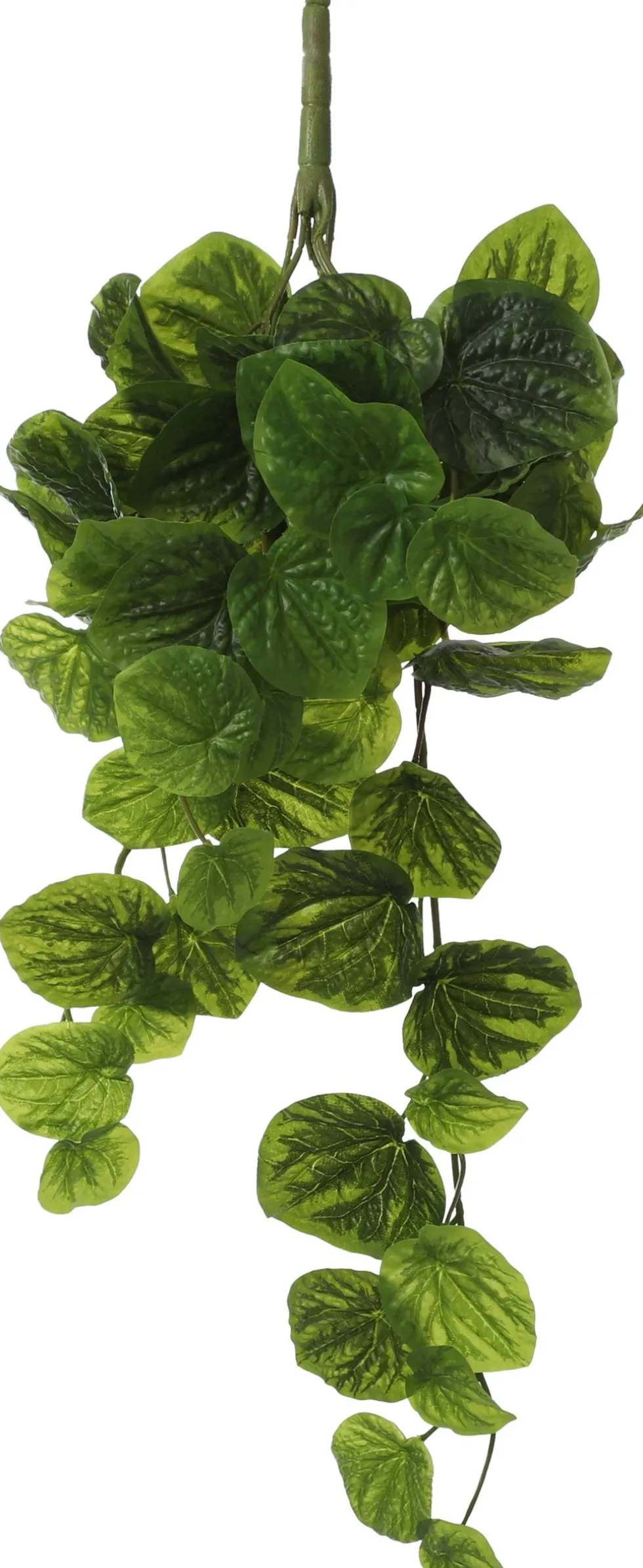 Mica Decorations kunsthangplant Peperomia H 58 cm