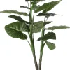 Mica Decorations kunstplant Olifantsoor H 100 cm