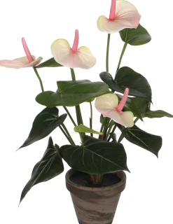 Mica Decorations kunstplant Anthurium roze / wit H 40 cm