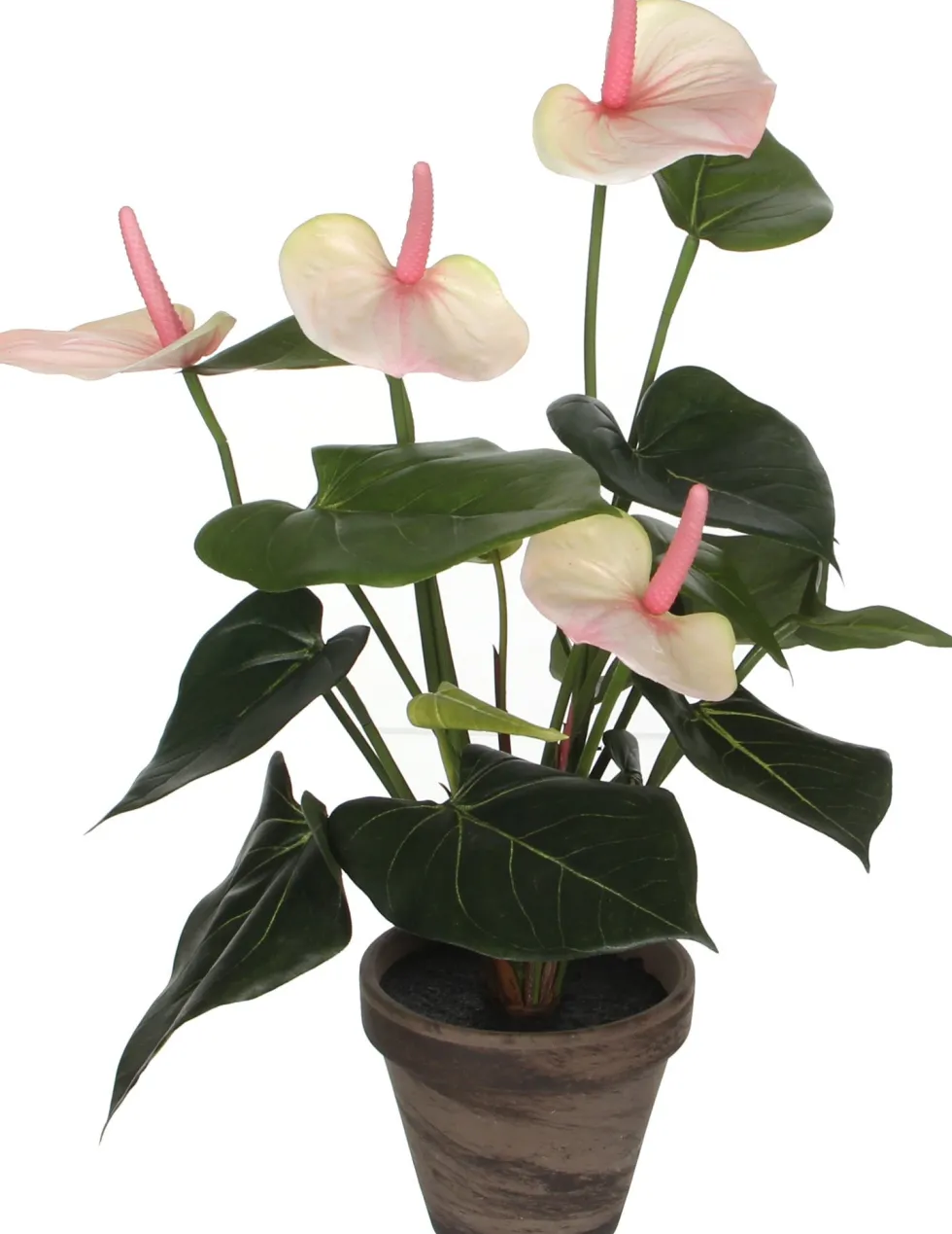Mica Decorations kunstplant Anthurium roze / wit H 40 cm