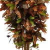Mica Decorations kunstplant Croton groen H 150 cm