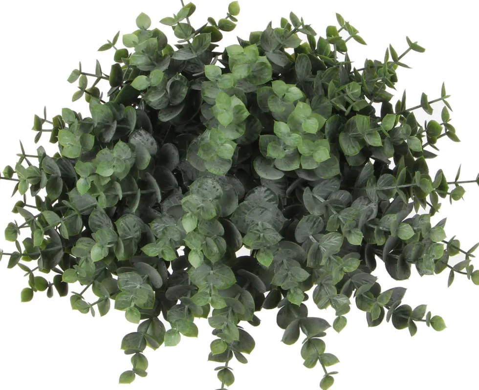 Mica Decorations kunstplant Eucalyptus H 15 cm