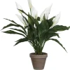 Mica Decorations kunstplant Lepelplant wit H 50 cm