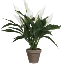 Mica Decorations kunstplant Lepelplant wit H 50 cm