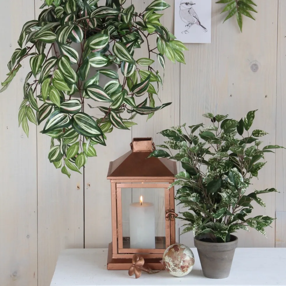 Mica Decorations kunstplant Rubberboom witbont H 40 cm