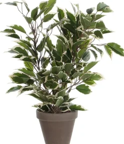 Mica Decorations kunstplant Rubberboom witbont H 40 cm