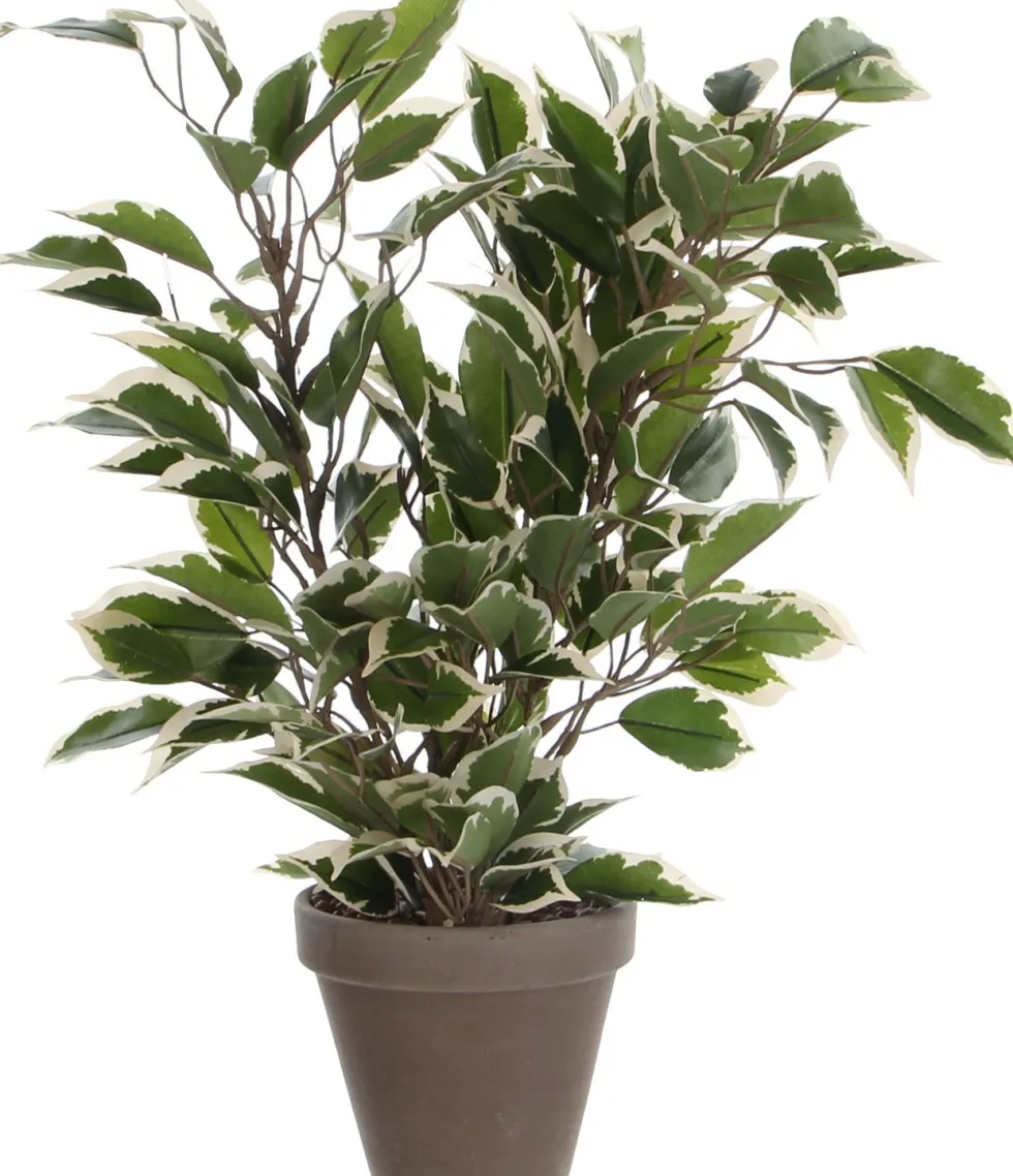 Mica Decorations kunstplant Rubberboom witbont H 40 cm