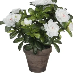 Mica Decorations kunstplant Rhododendron wit H 27 cm