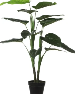 Mica Decorations kunstplant Philodendron H 100 cm