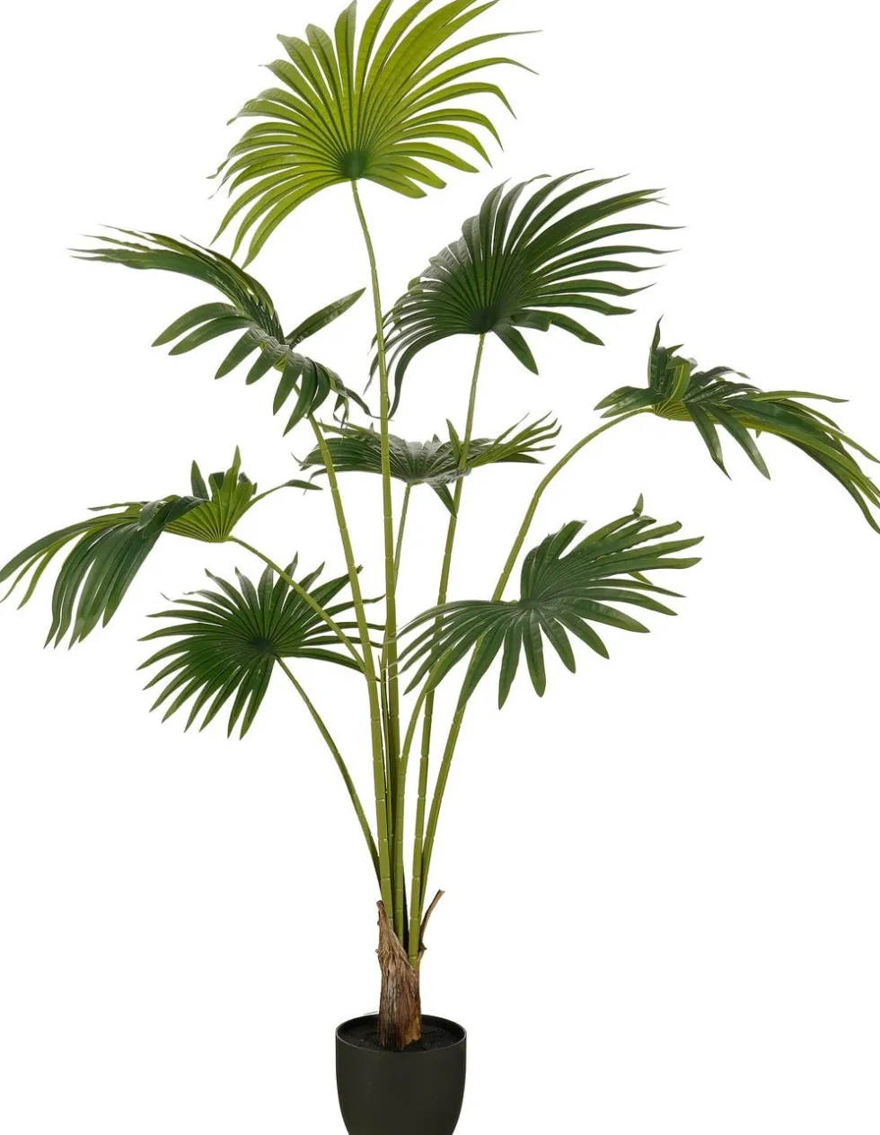 Mica Decorations kunstplant Waaierpalm groen H 160 cm