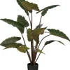 Mica Decorations kunstplant Olifantsoor groen H 140 cm