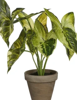 Mica Decorations kunstplant Syngonium groen / geel H 28 cm