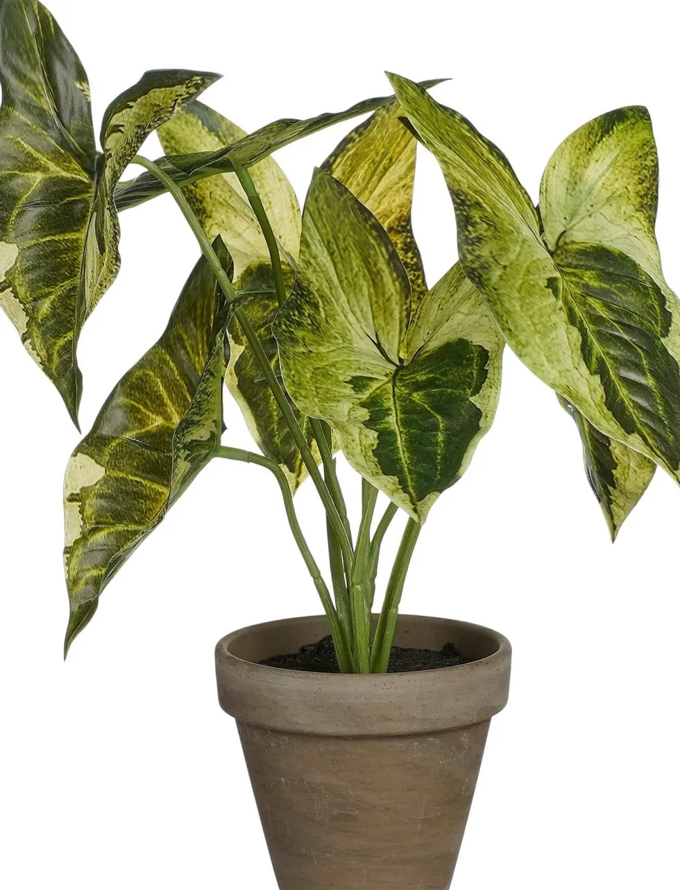 Mica Decorations kunstplant Syngonium groen / geel H 28 cm