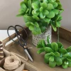 Mica Decorations kunstplant Crassula H 20 cm