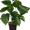 Mica Decorations kunstplant Drakenklimop groen / geel H 40 cm
