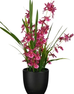 Mica Decorations kunstplant Orchidee roze H 58 cm