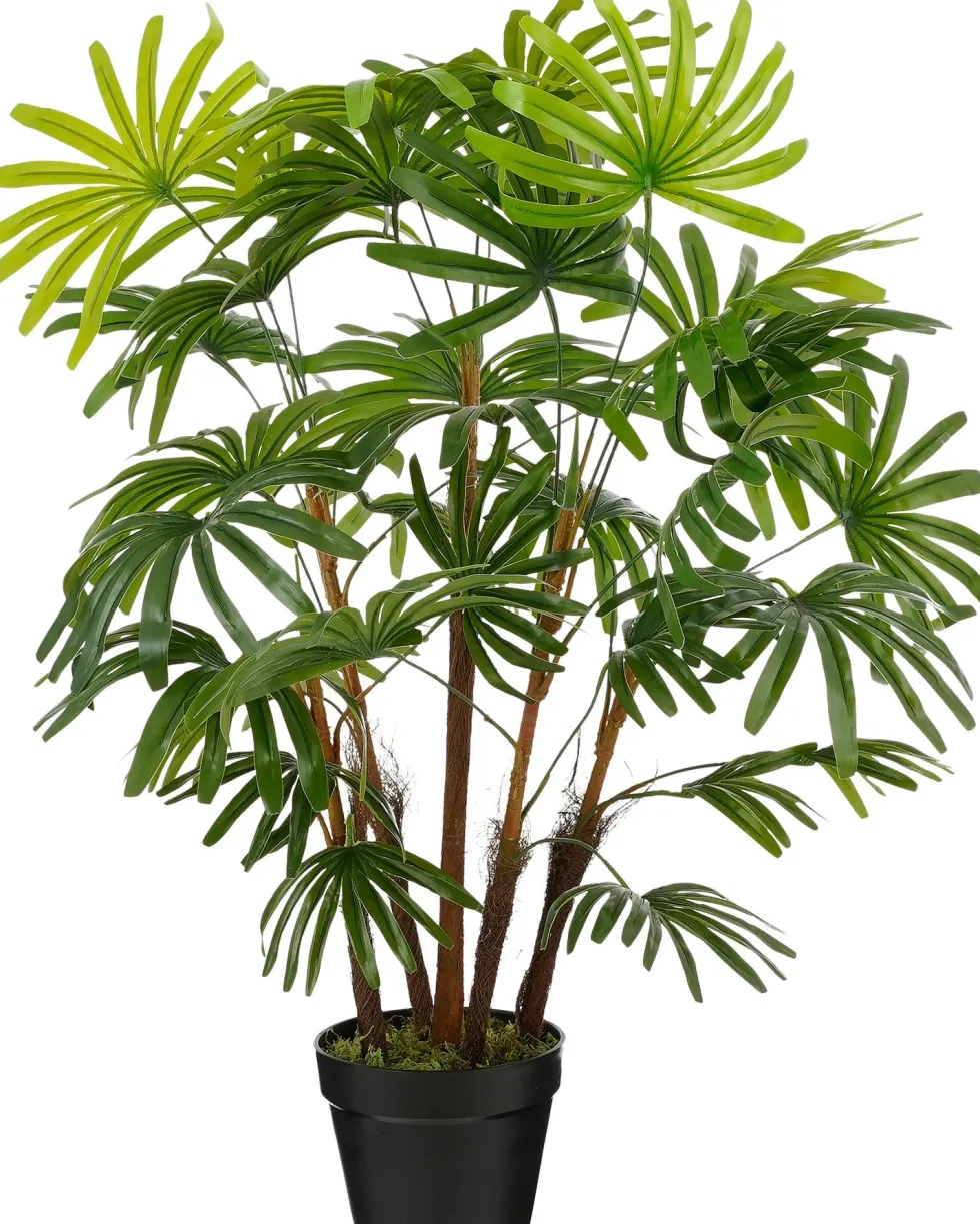 Mica Decorations kunstplant Rhaphis H 90 cm
