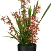 Mica Decorations kunstplant Orchidee rood H 58 cm
