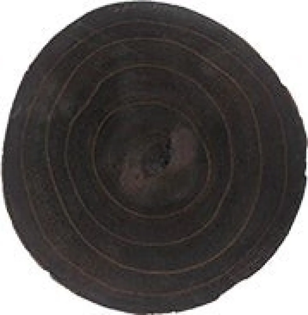Natures Accents decoratiebord Sem zwart D 24 H 2 cm