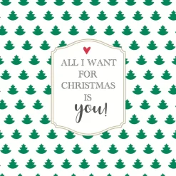 Paper + Design servet all i want 33 x 33 cm 20 stuks